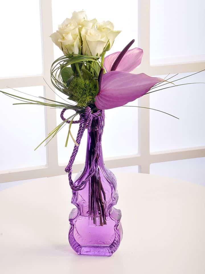 mor-canli-orkide-cicek-21